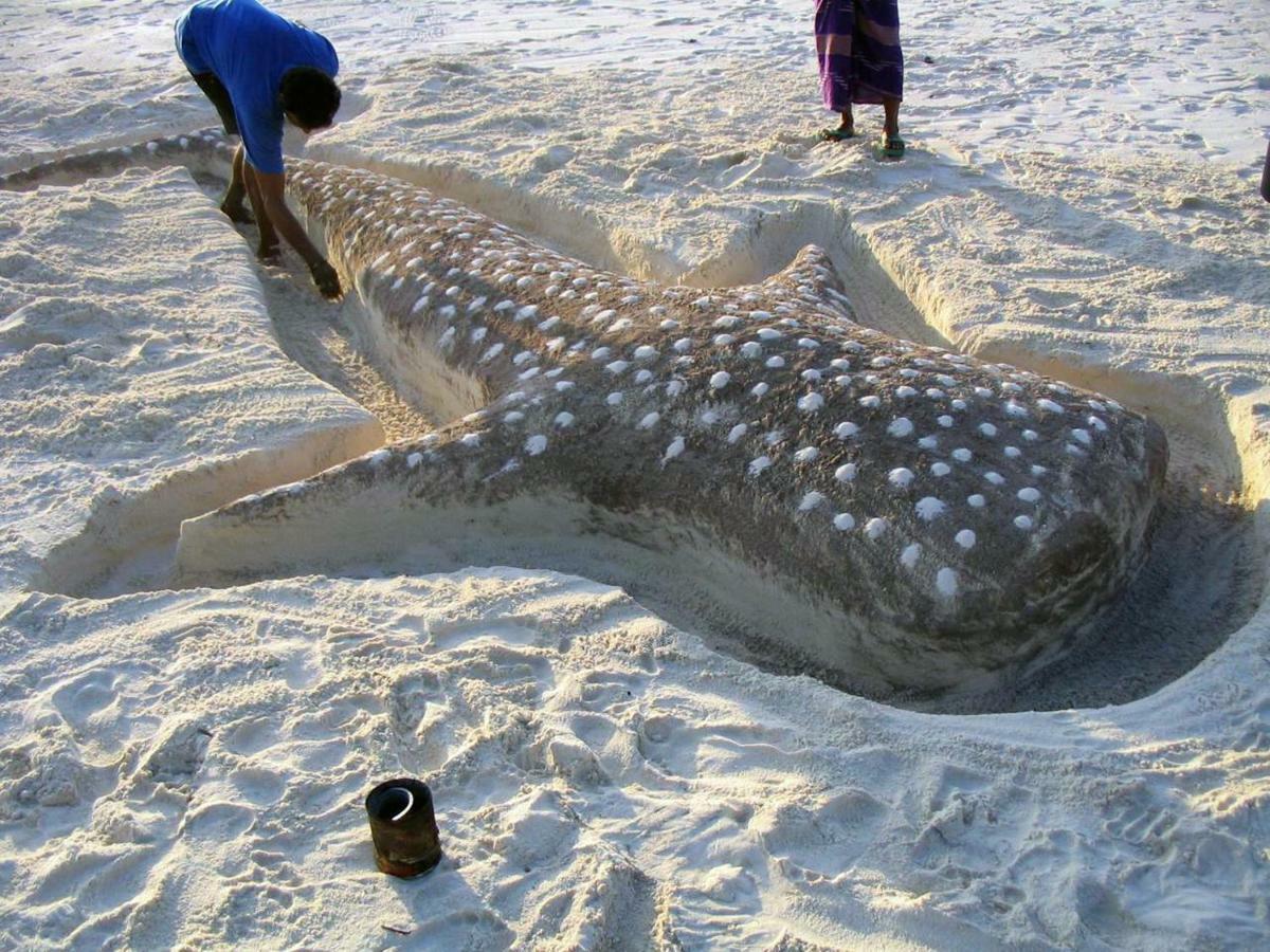Dharavandhoo Stay Luaran gambar
