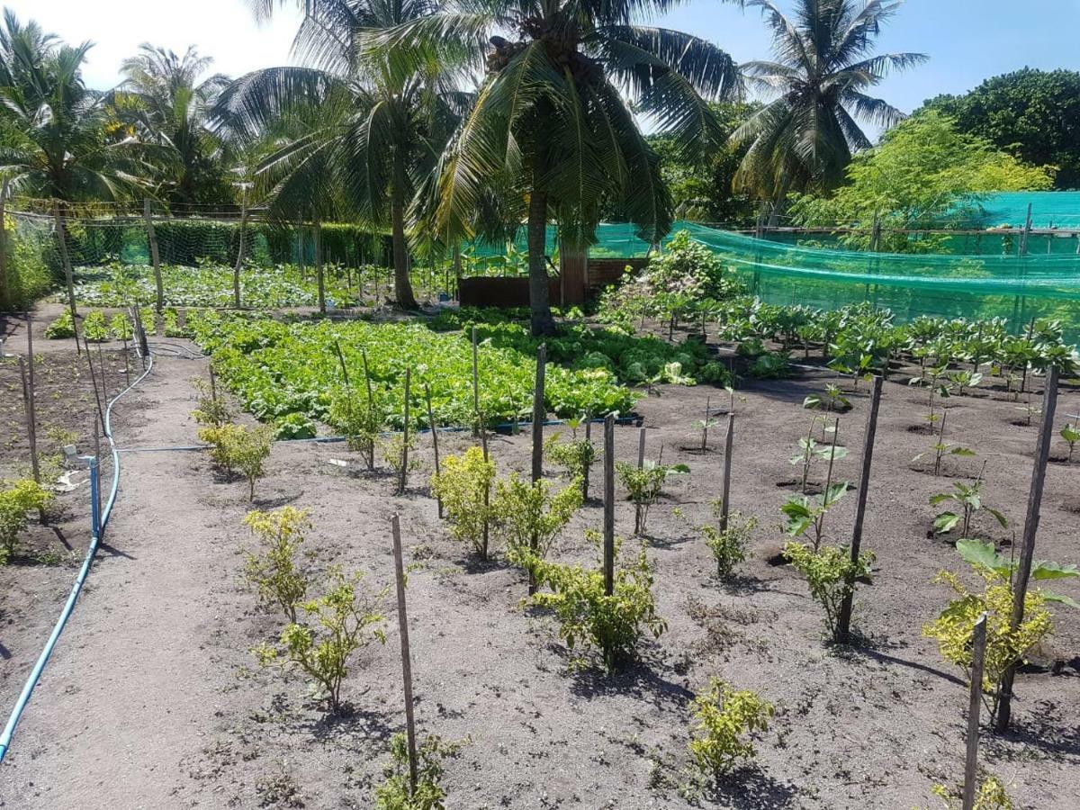 Dharavandhoo Stay Luaran gambar